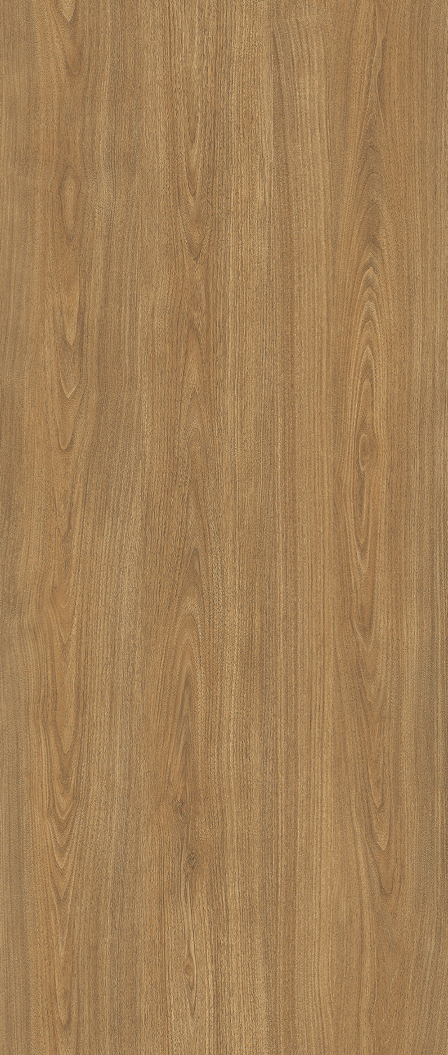 Big Wood BW002