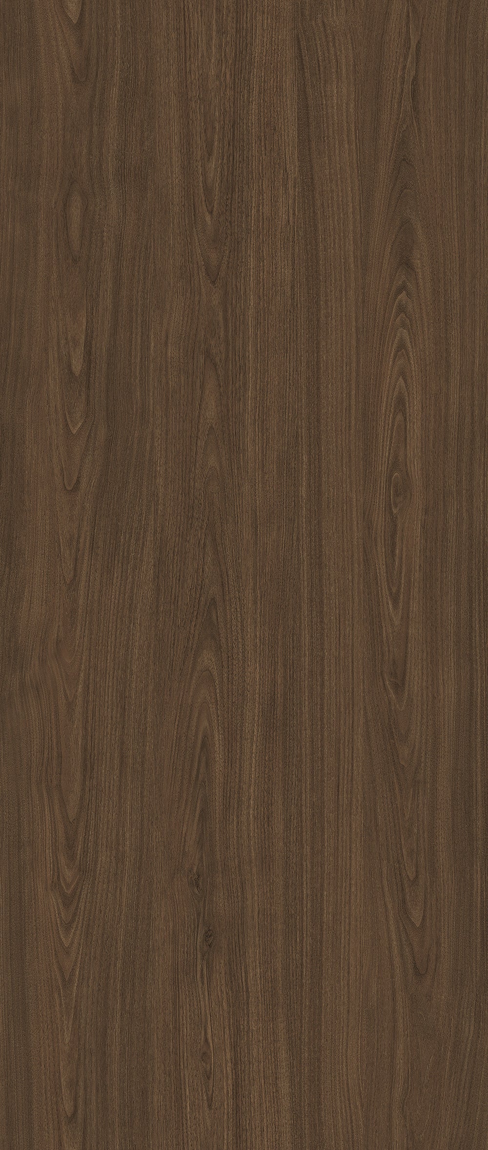 Big Wood BW003