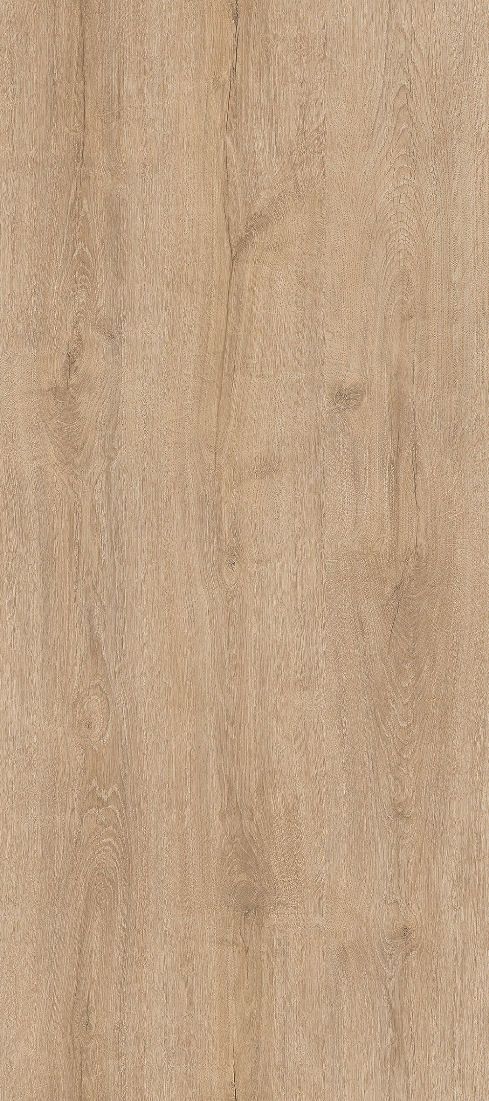 Big Wood BW008