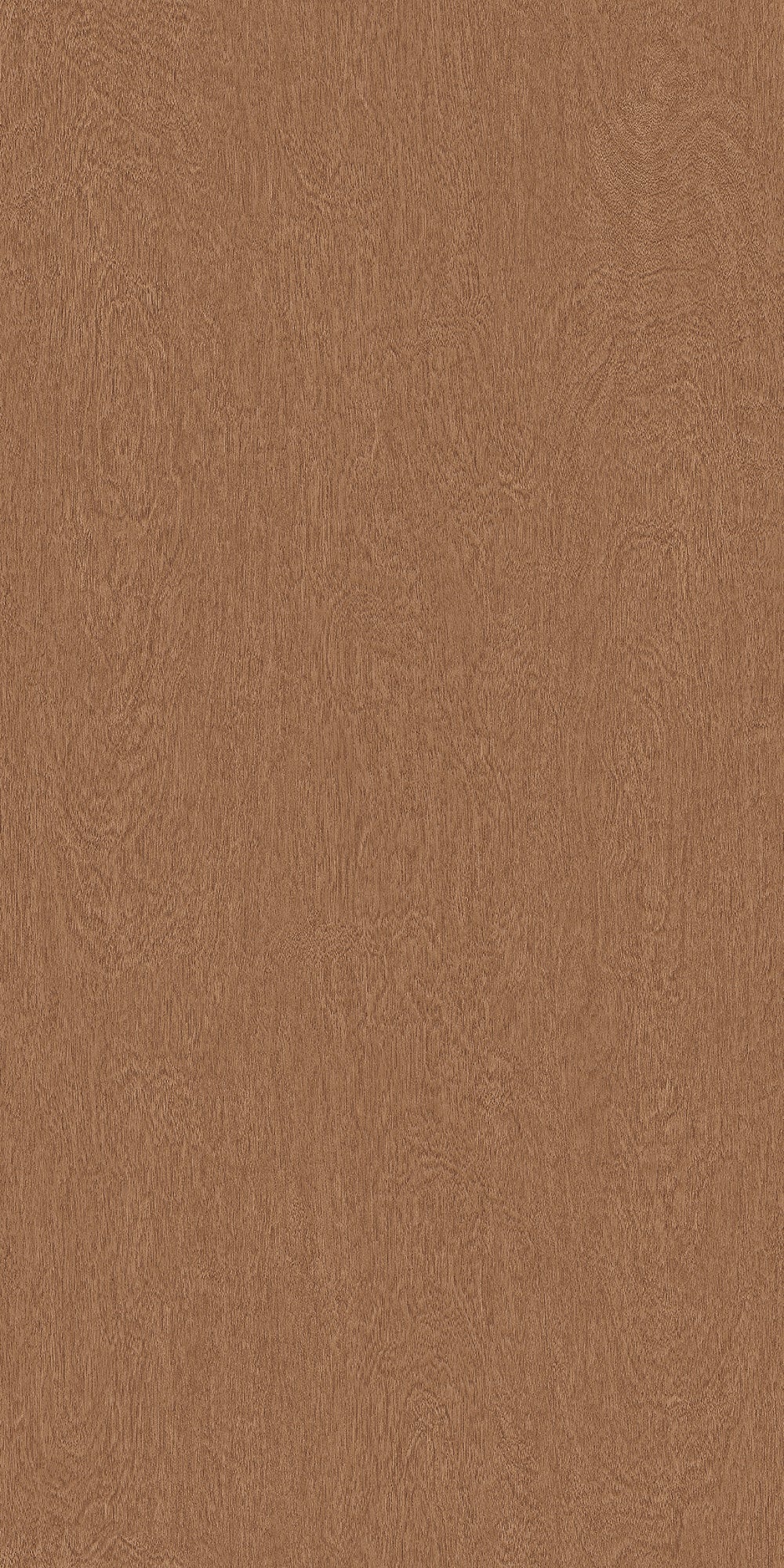 Big Wood BW011