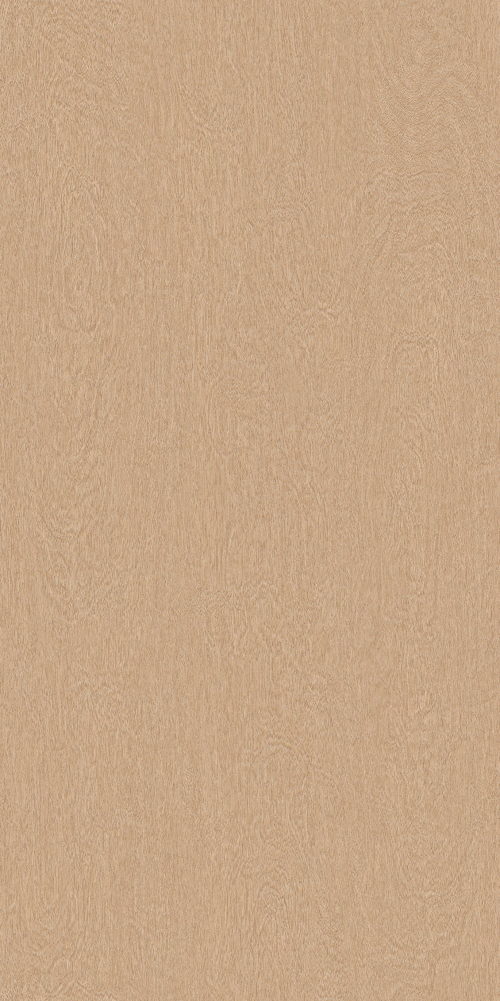 Big Wood BW013