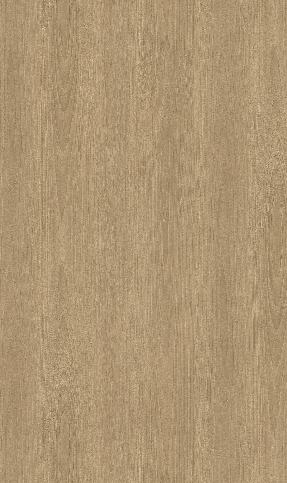 Big Wood BW021