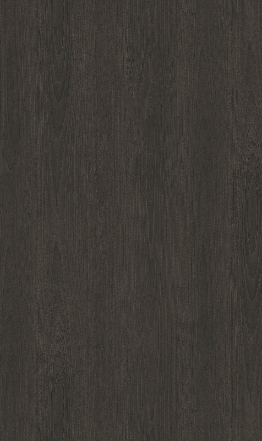 Big Wood BW022
