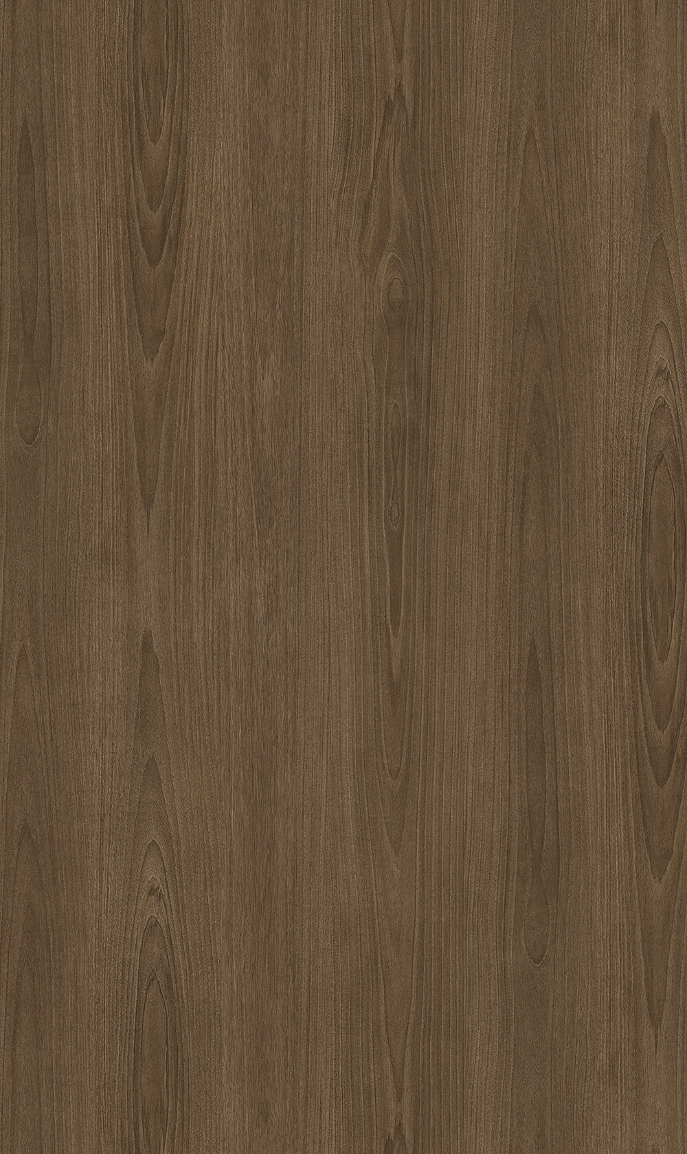 Big Wood BW023