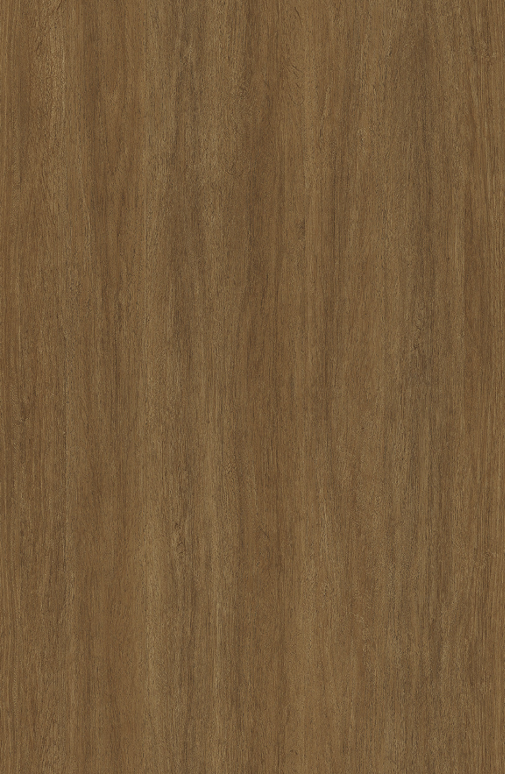 Wood CW469