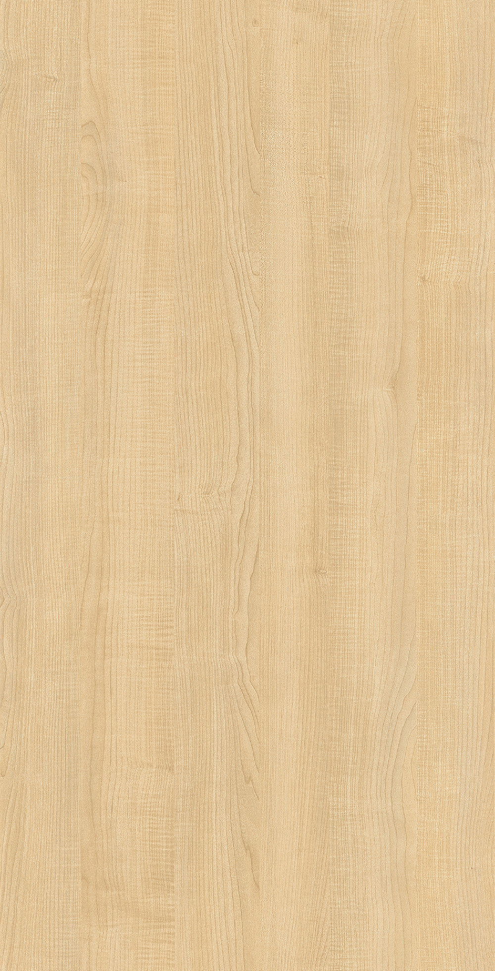 Wood CW527