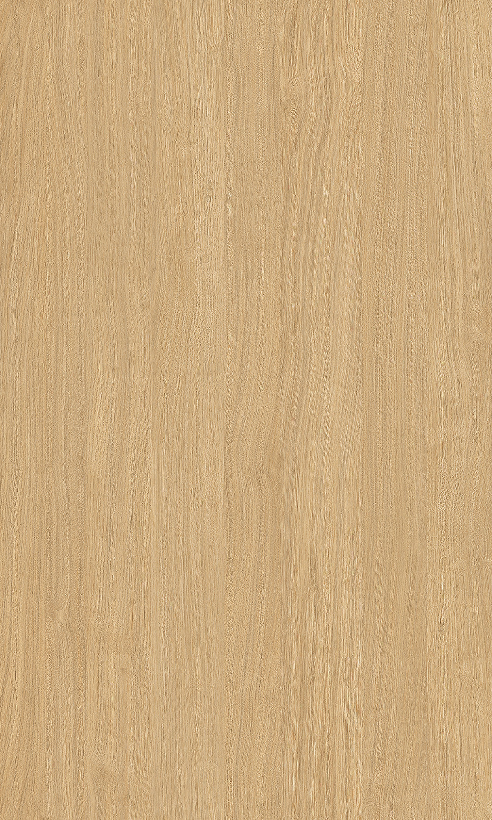 Wood CW557