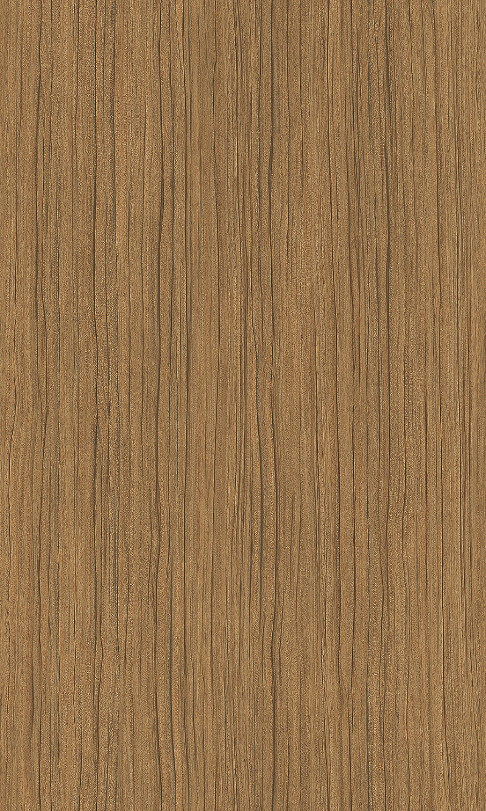 Wood CW579