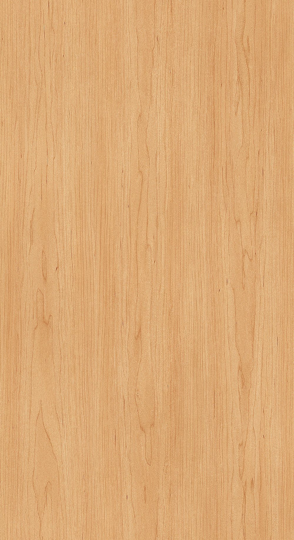 Wood CW79
