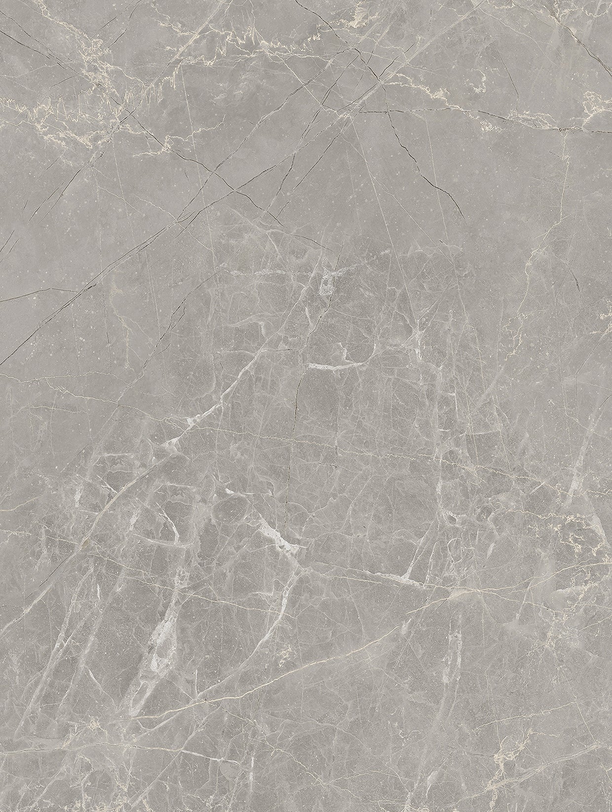 Premium Marble PM016
