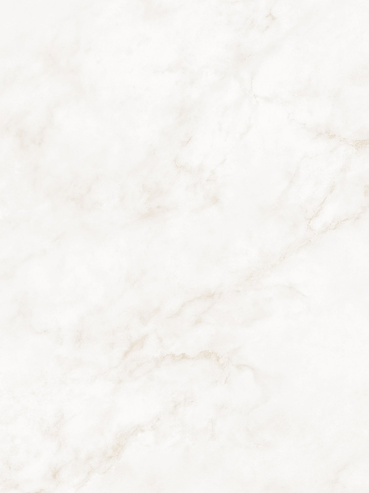 Premium Marble PM019