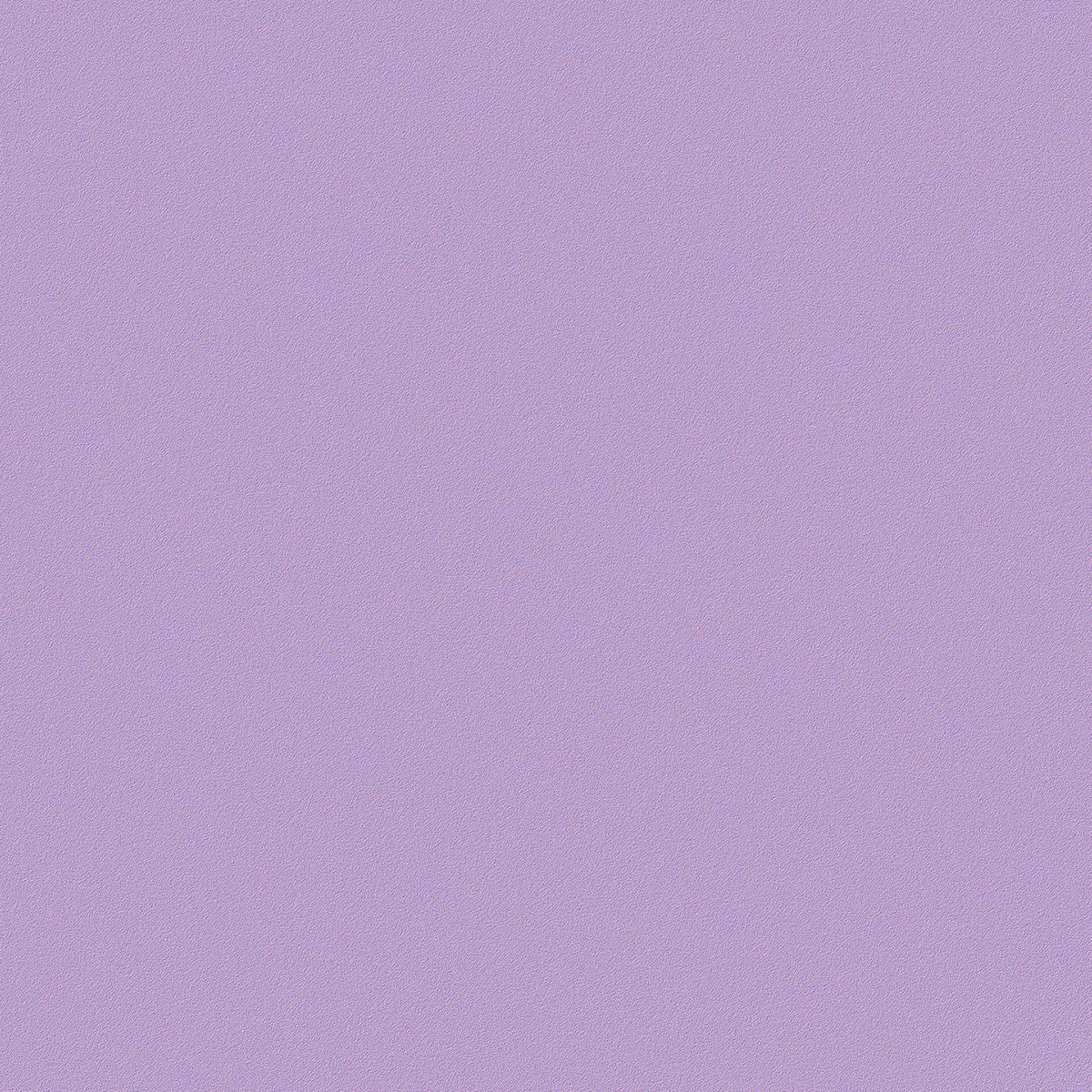 Solid RSCK1