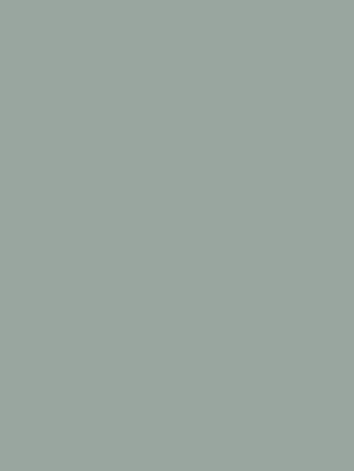 Pure Tone S248