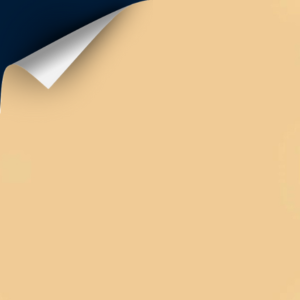 HG/HF 5102 (Metal Gold)